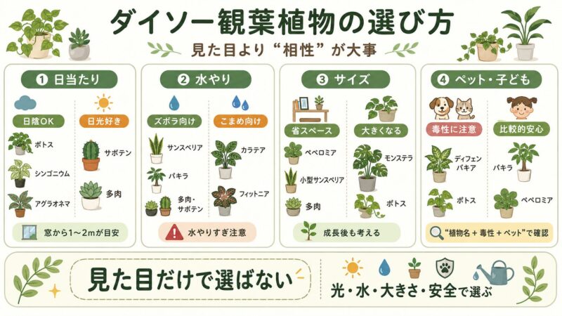 【失敗しない】自分に合う品種の選び方4つの判断軸