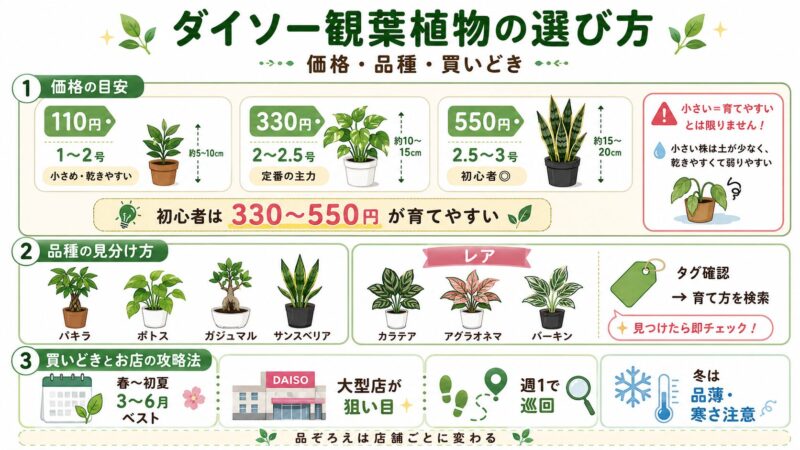ダイソーの観葉植物はどんな種類がある？